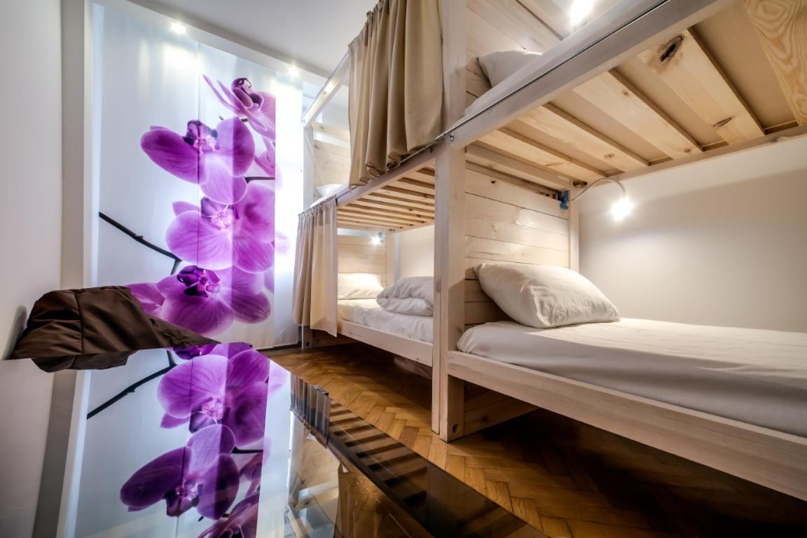 Sova Apartment Lviv Сenter Сity 外观 照片